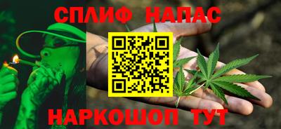 прущие грибы Канаш