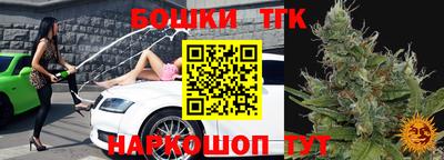 прущие грибы Канаш