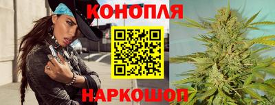 прущие грибы Канаш